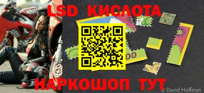 прущие грибы Краснокаменск