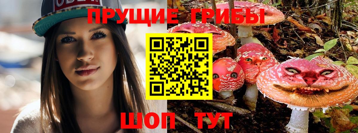 Псилоцибиновые грибы Magic Shrooms Йошкар-Ола