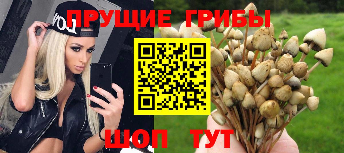 Йошкар-Ола  Псилоцибиновые грибы GOLDEN TEACHER  Вход с VPN  Псилоцибиновые грибы MAGIC MUSHROOMS 